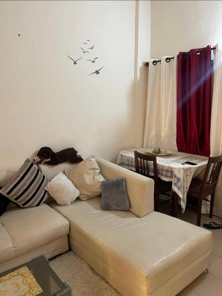 Carmi s Appartement une chambre salon bon vivre à petit prix photo 2