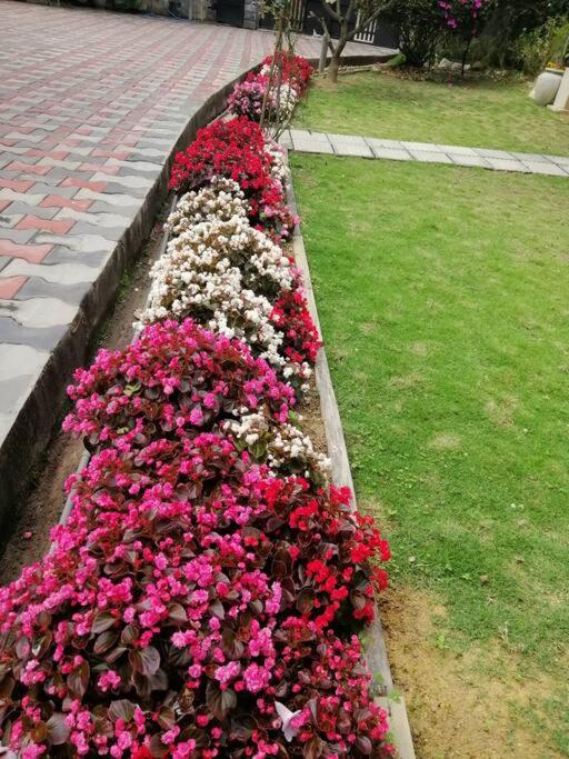Shanthi Villa Home-stay photo 1