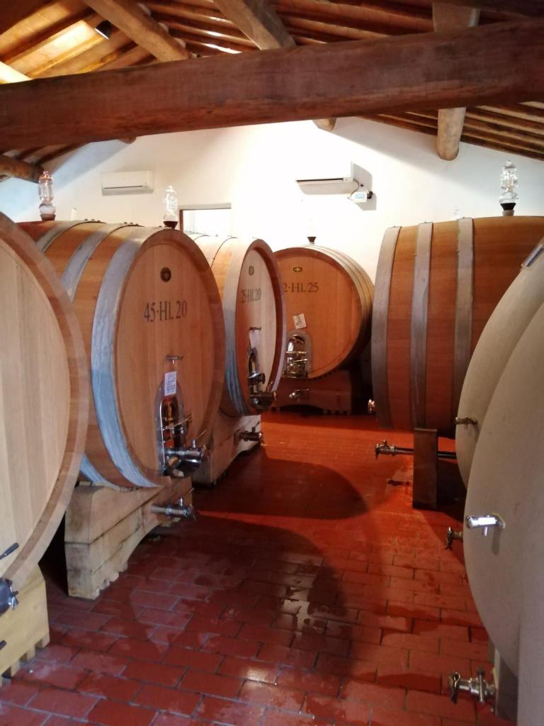 Fattoria Poggerino photo 4
