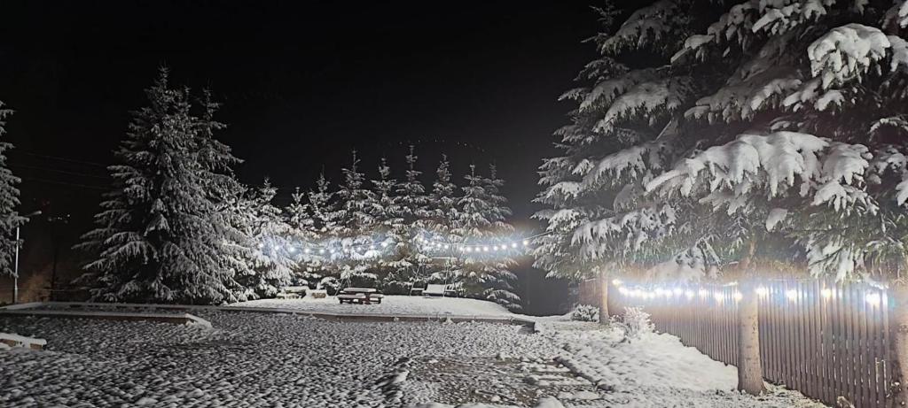 Tatrzański Camper Park- parcele kamperowe photo 4