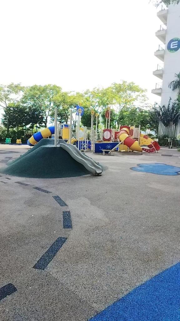 静等风来28 photo 3