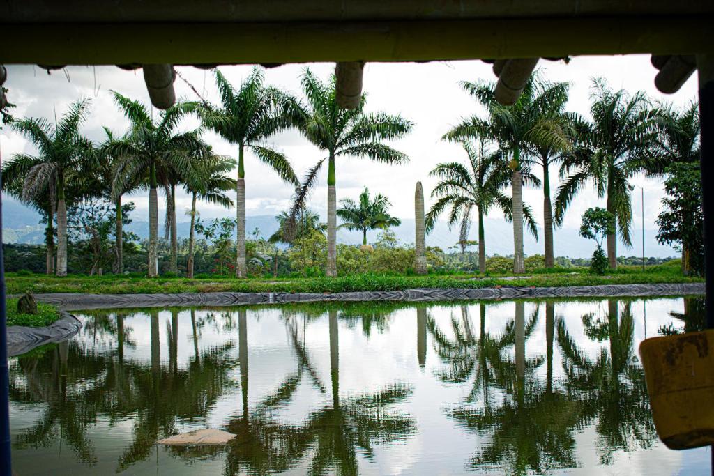Cabañas familiar de encanto photo 3