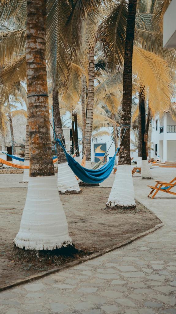 HOTEL LOS TAMBOS DEL CARIBE BEACH photo 2