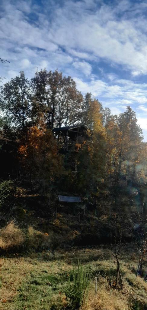Krushka, Kochani, Osogovo photo 4