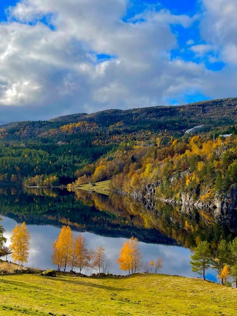 Hygge på fjellet photo 1