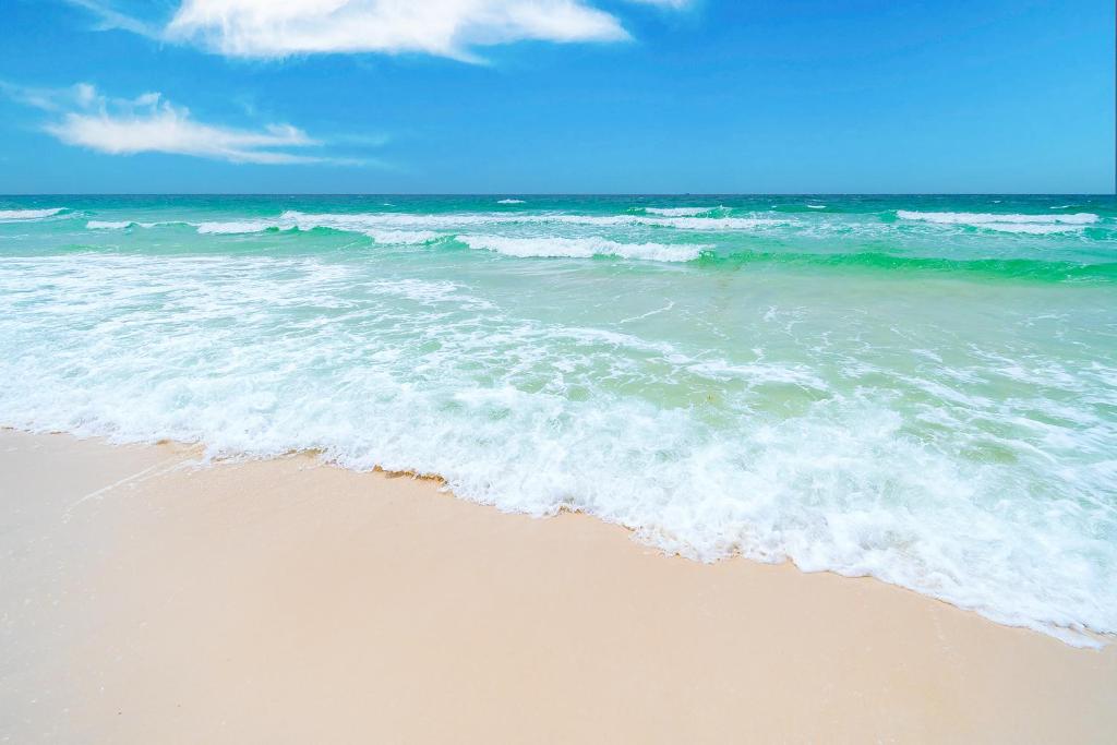 Ocean Reef Sea Forever photo 3