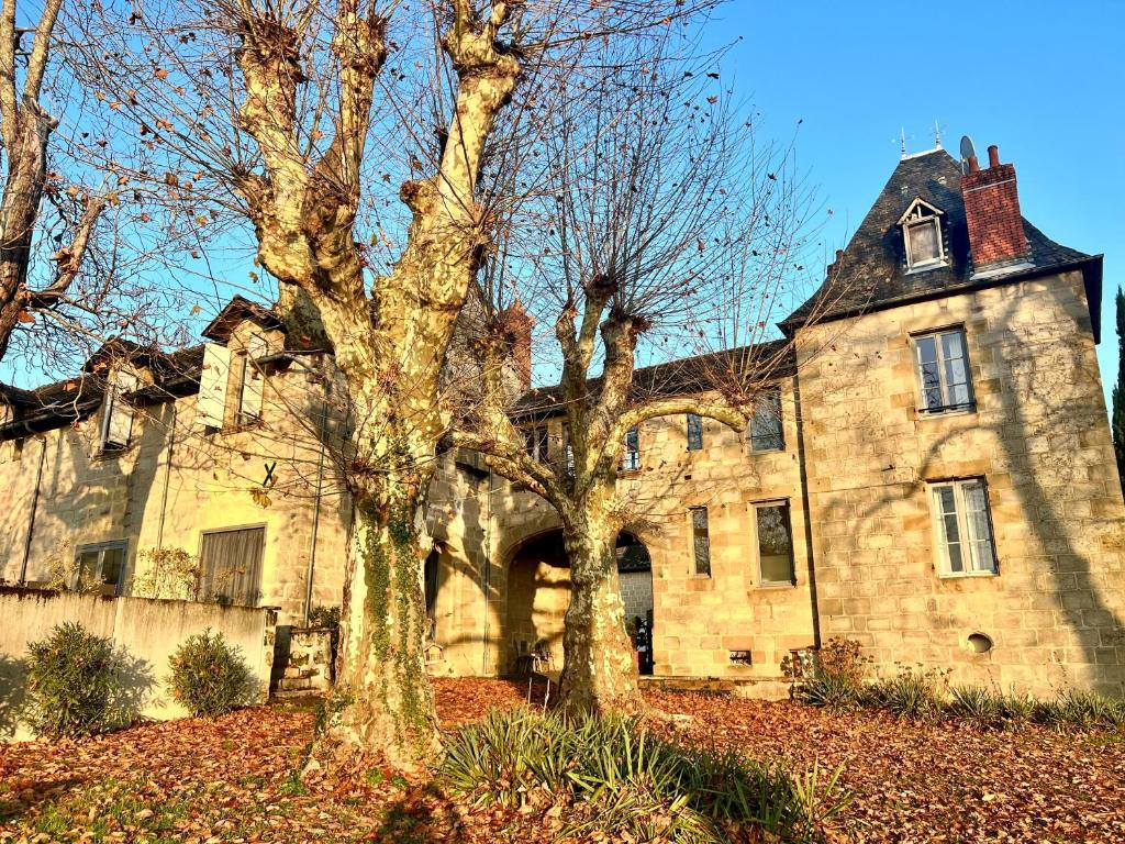 Hôtel Château de Lacan photo 4