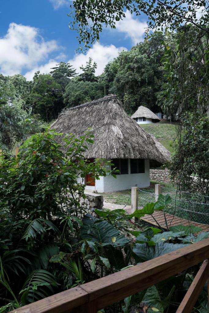 Jade Jungle Resort photo 4