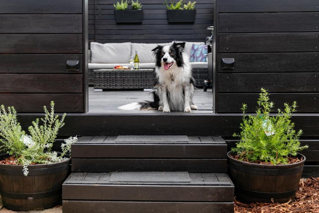 Ocean Grace by the River and Ocean Pet Friendly photo 3