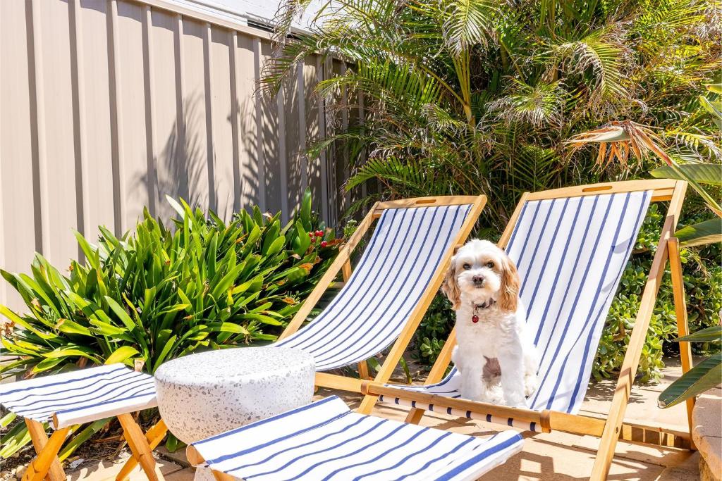 Bel Air, 8A Ocean Ave - pet friendly, water views and air con photo 1