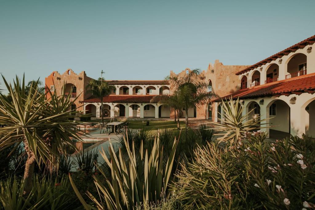 Hacienda Los Olivos, Valle de Guadalupe photo 1