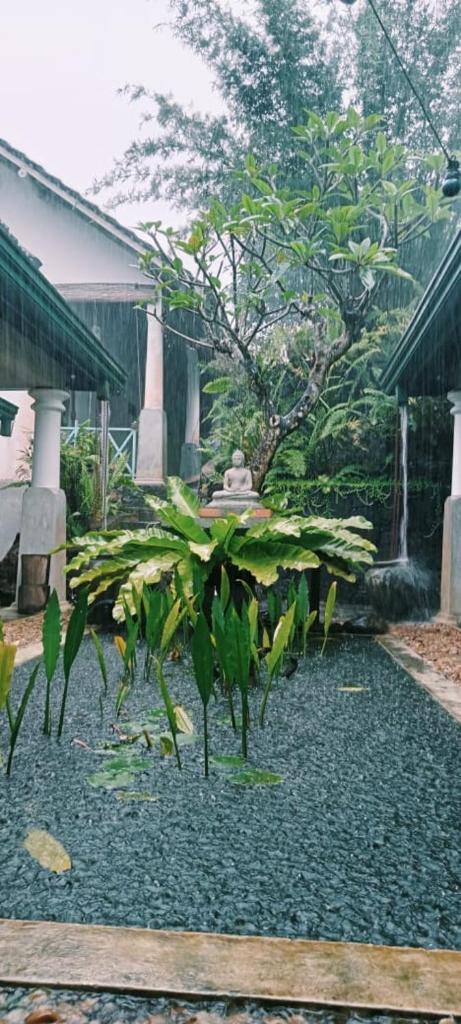 Jansen’s Bungalow Sinharaja Rainforest Retreat photo 2