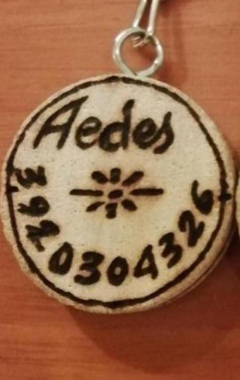 Aedes Residenza Michelangelo - 500 mt dalla spiaggia - self check-in photo 1