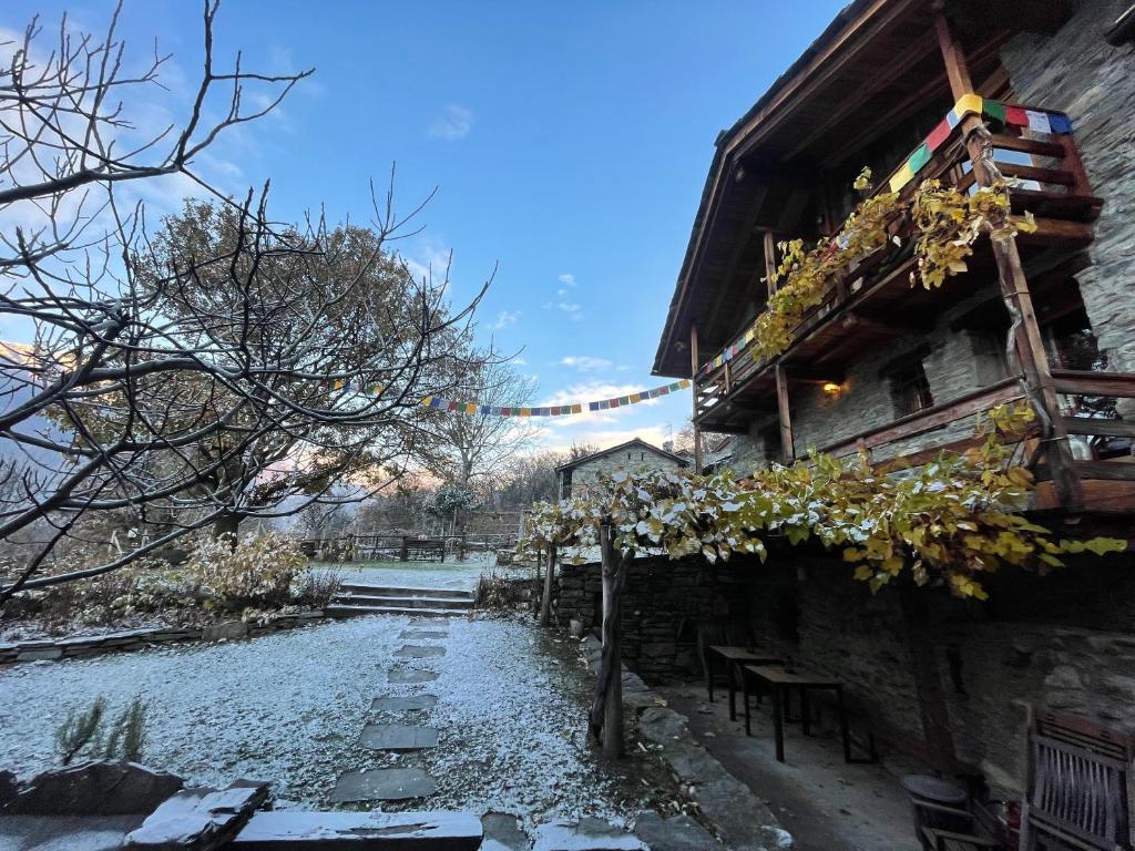 Maison de Noé photo 2