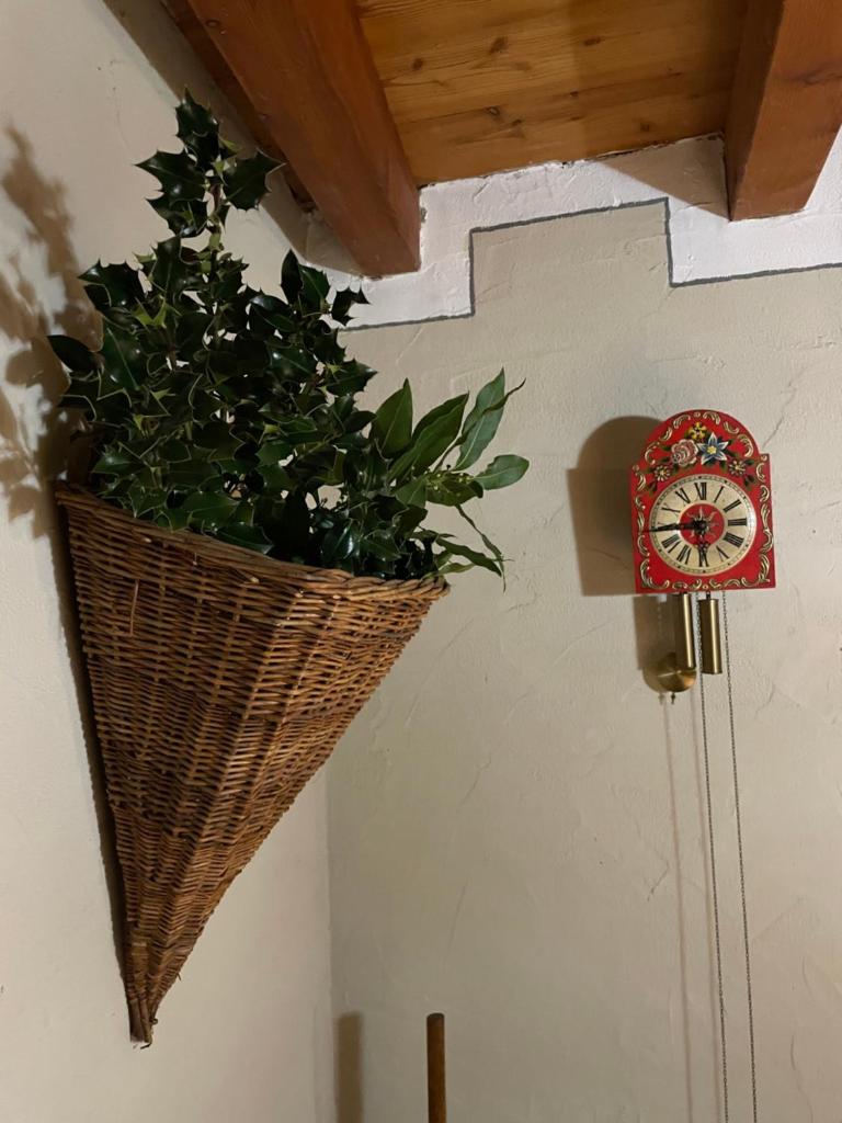 Maison de Noé photo 1
