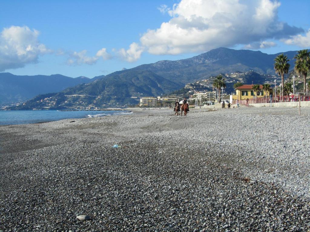 Apartment near the beach photo 1