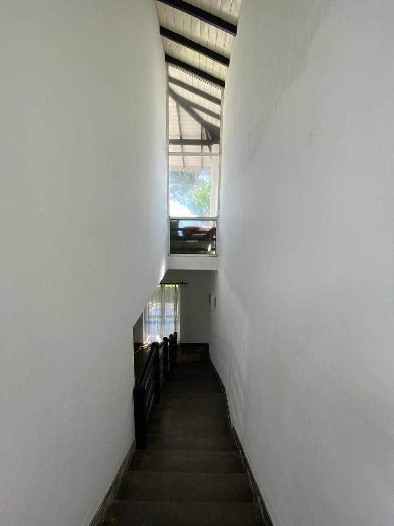 Villa Talpe photo 4