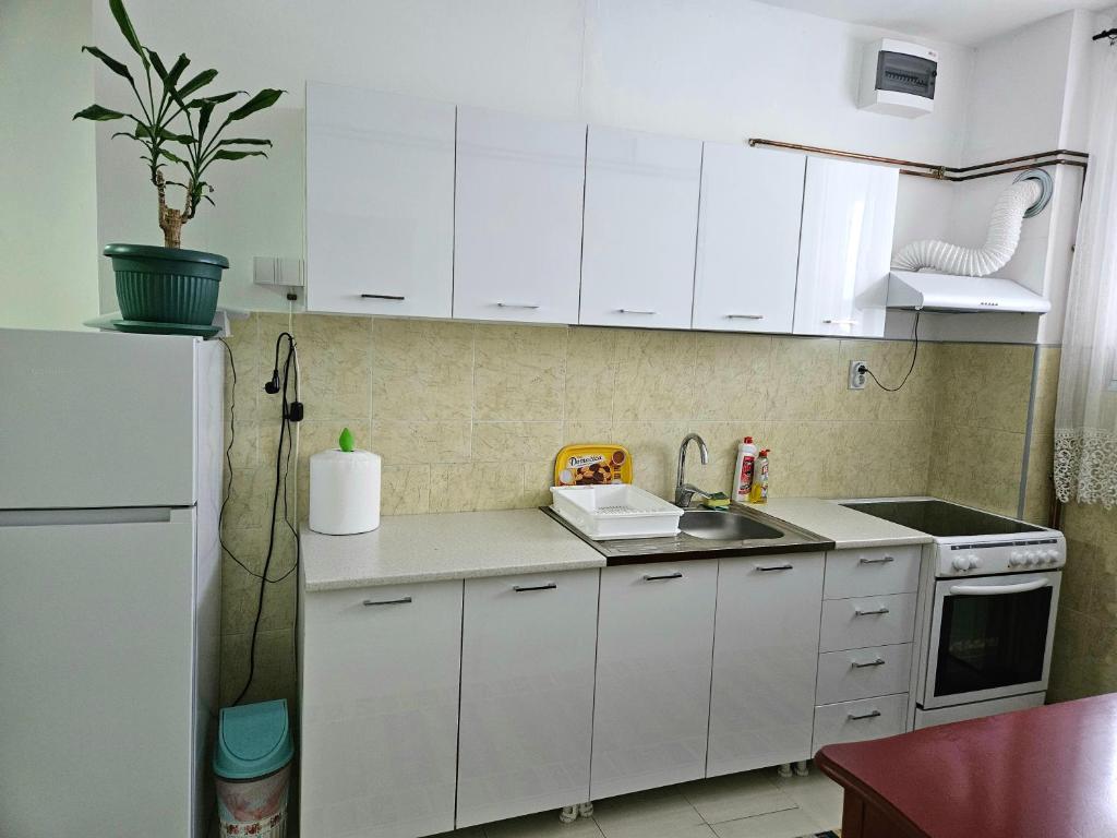 Apartman Juga photo 2