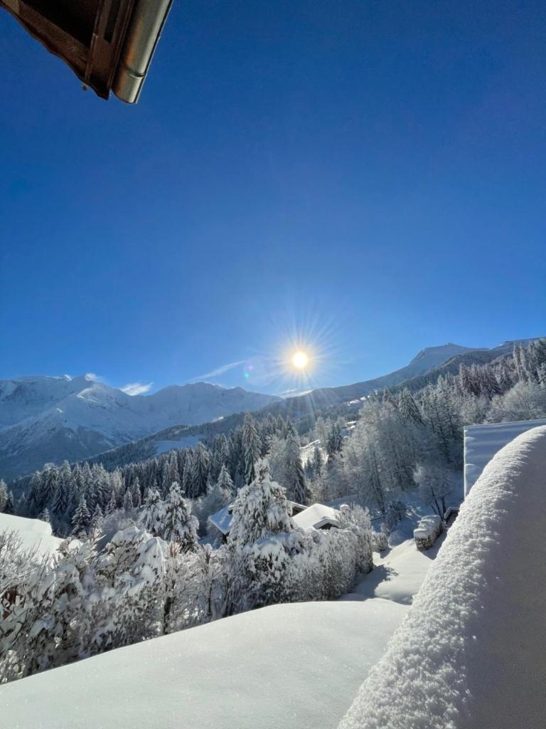 Vue splendide Mont Blanc photo 1
