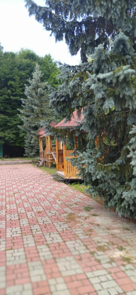 Санаторій Збруч photo 2