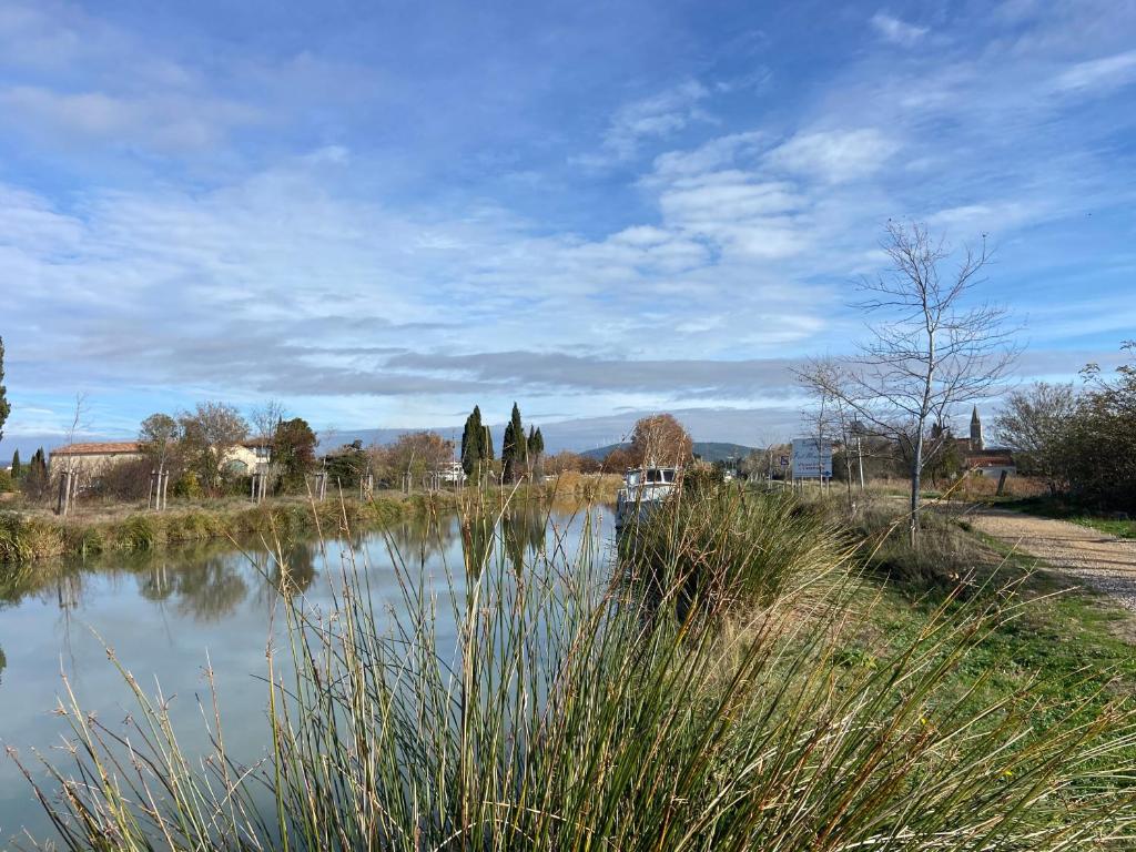 T3 bis bord du canal du midi piscine photo 3