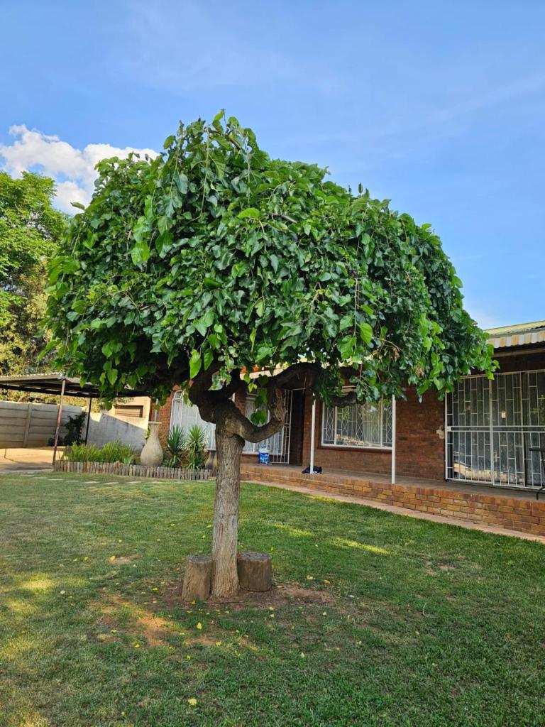 Casa Mia Family Home photo 2