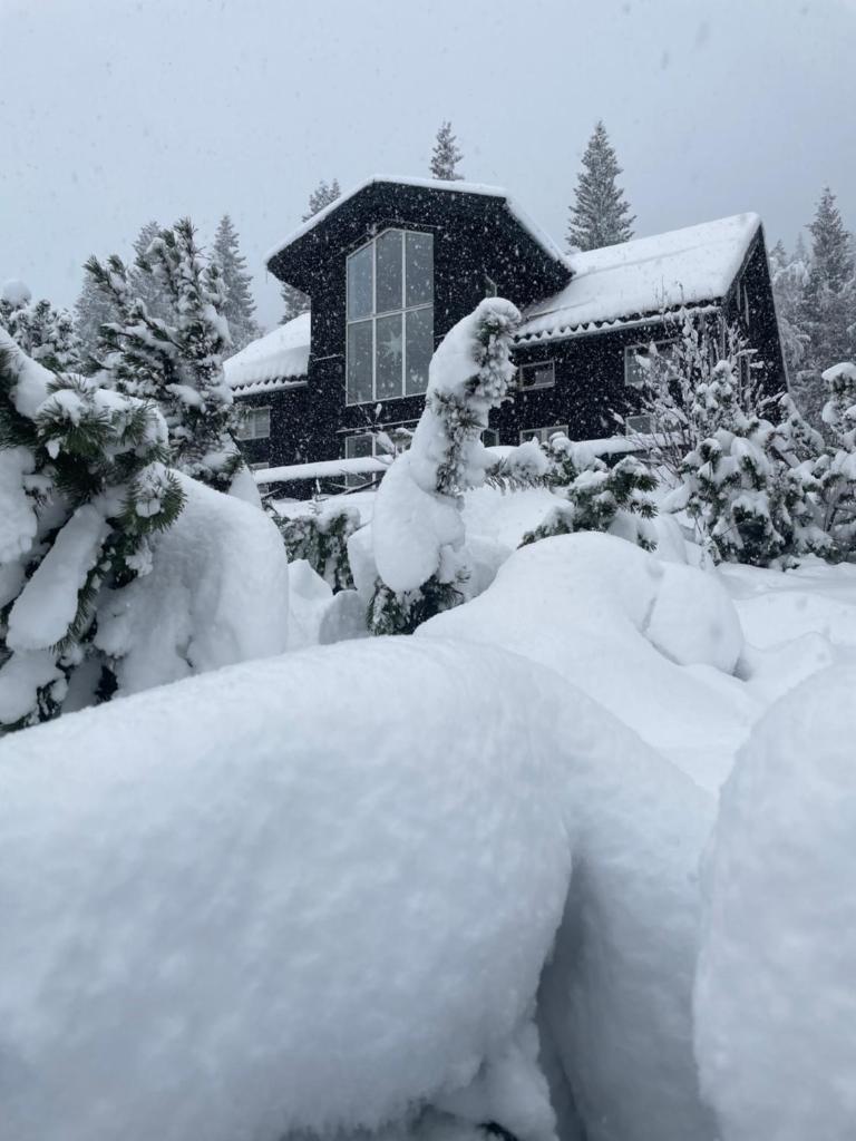 Villa Edvinsväg 8 photo 1