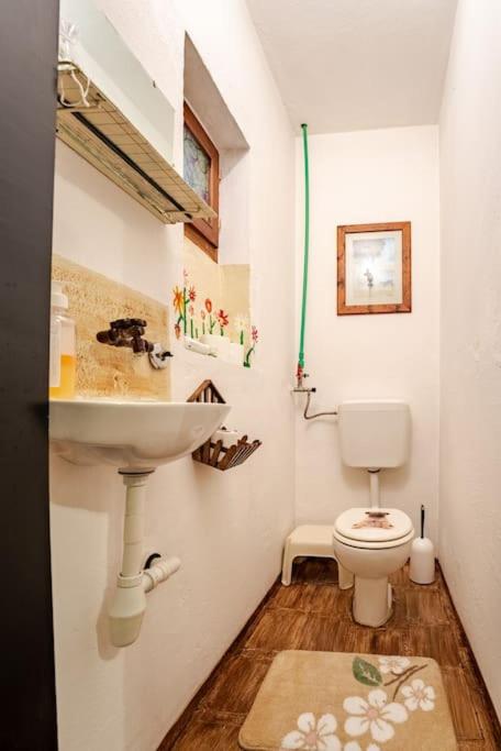 Kuća za odmor Treasure Hunters Academy photo 3