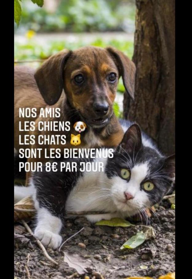 Beau studio rénové donc une caution sera demandée et taxe de séjour photo 2