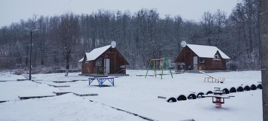 Шафран photo 1