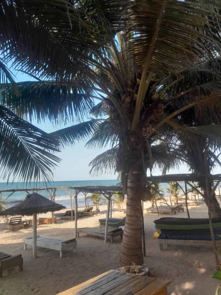 Smile Gambia Beach Bar photo 3