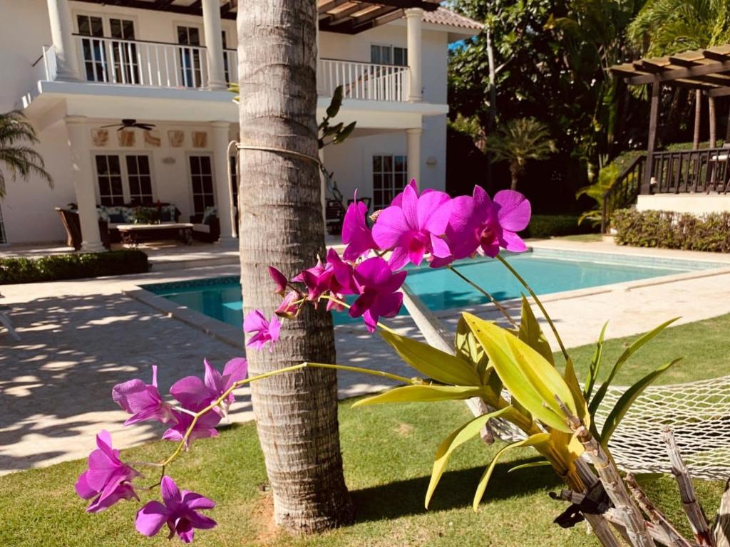 Punta Cana Bay Family Room