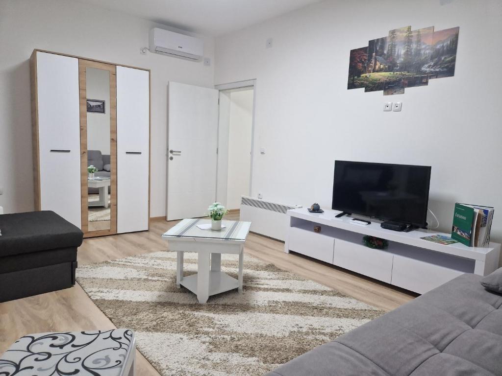 Apartman Mihajlovic Brus photo 3