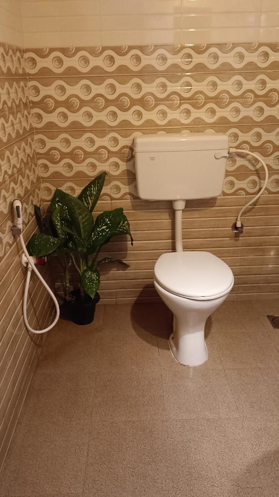 Kailani boutique stay photo 1