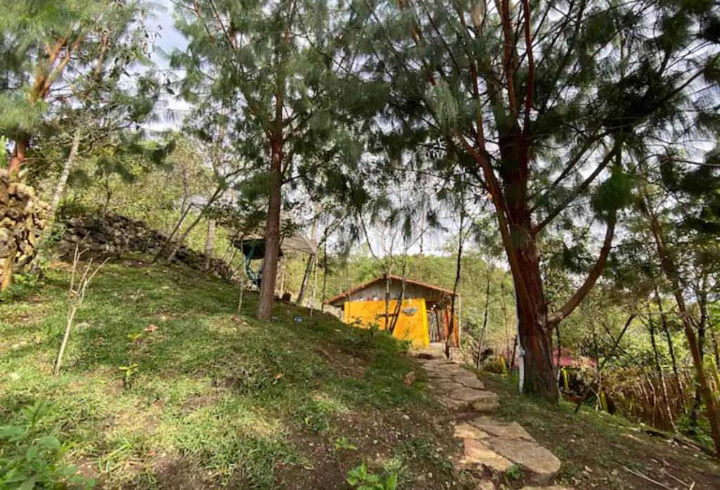 Casa de la Montaña Sagrada (Hospedaje Místico) photo 3