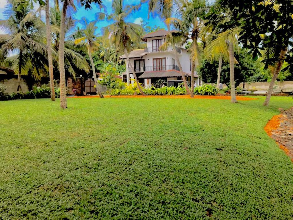 Mario River Villa photo 2