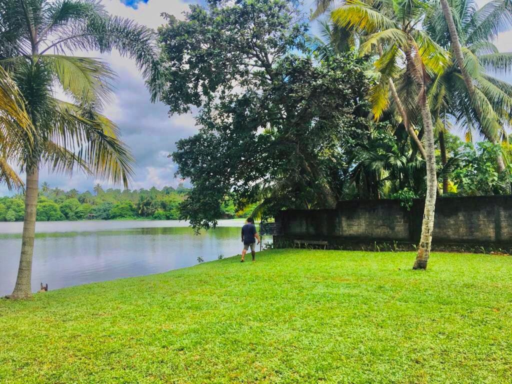 Mario River Villa photo 1