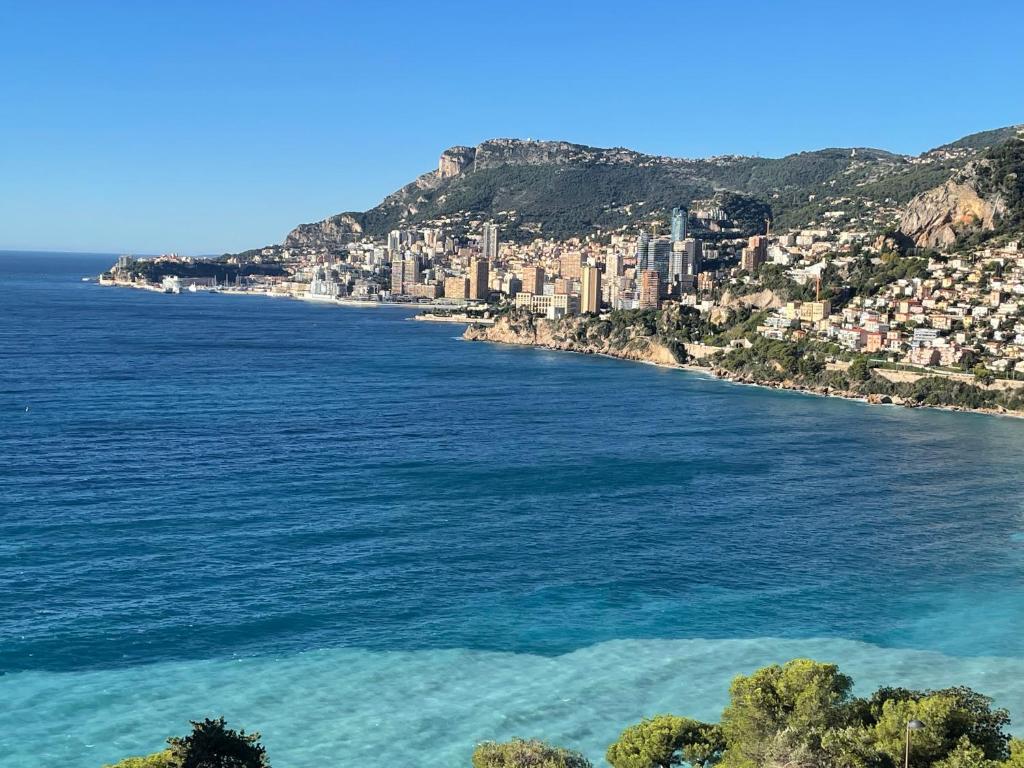 Aux portes de Monaco superbe T3 vue mer photo 1