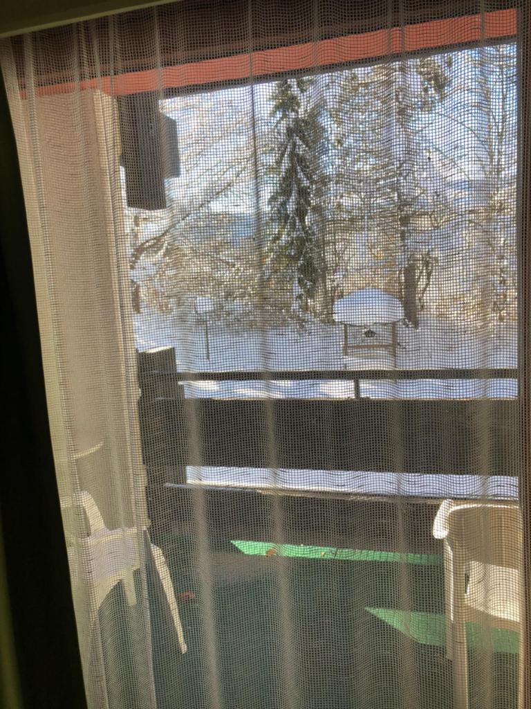 B&B in Seefeld photo 4
