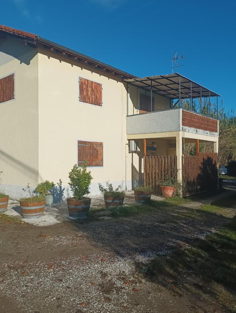Villa Anna photo 3