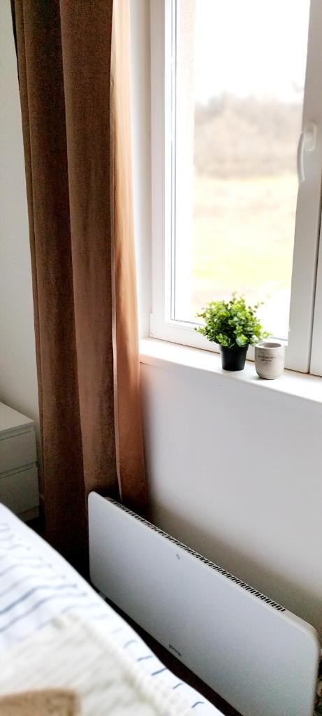 Apartmani ZAT photo 2