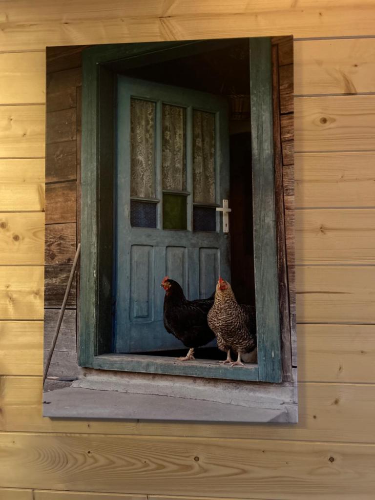 Het Blij Hen photo 4