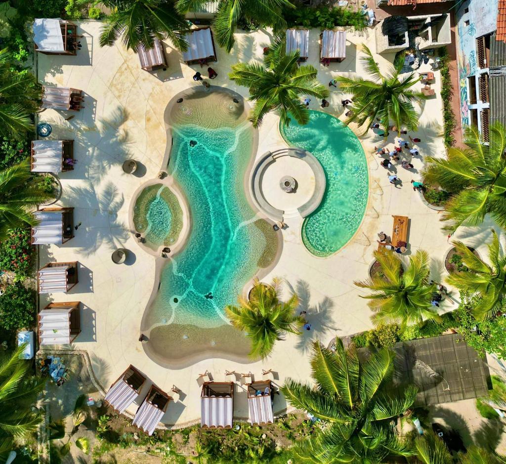 Palmarito Beach Hotel photo 2