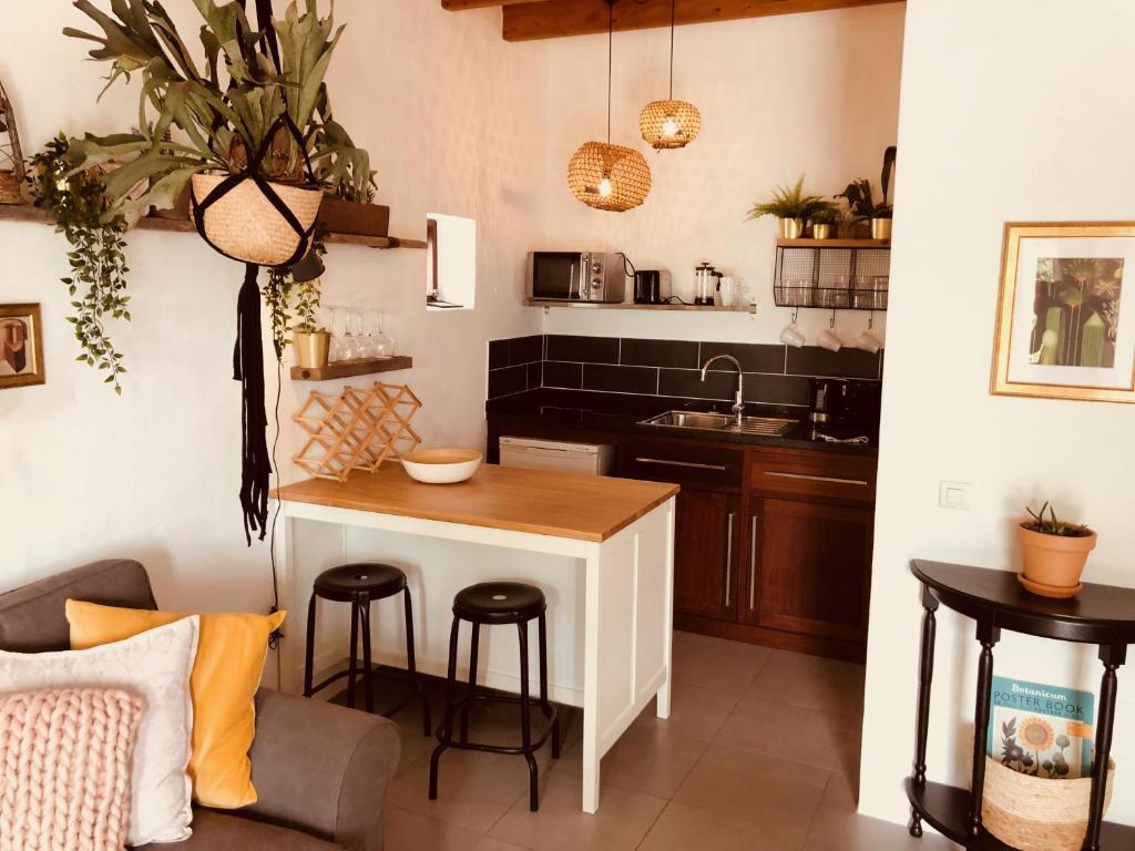 Bodega Botanica, boutique, boho vibes and shared pool photo 4