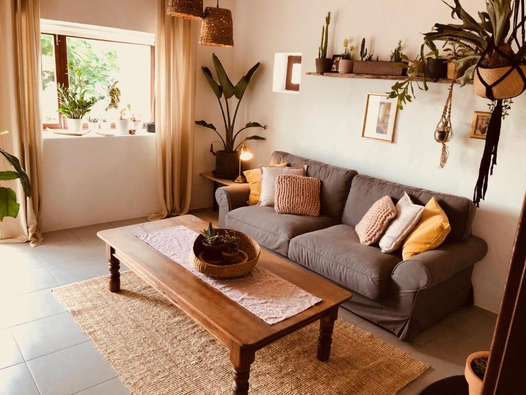 Bodega Botanica, boutique, boho vibes and shared pool photo 3