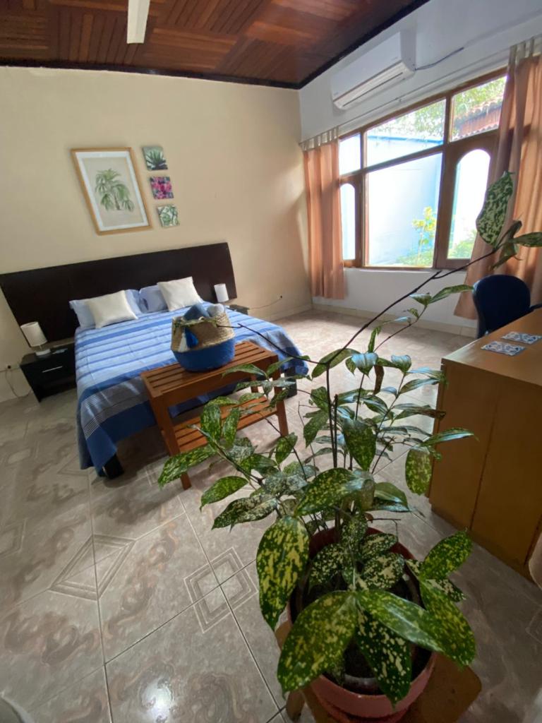 Poseidon Guest House photo 4