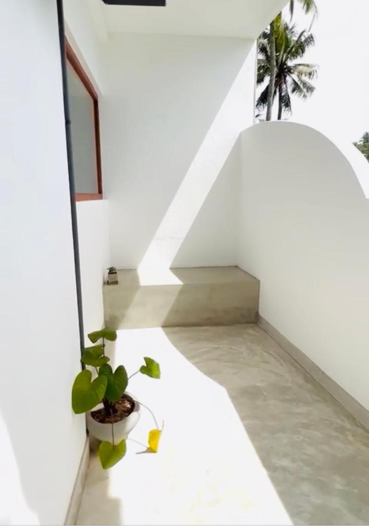 Swallow villa - French guest house photo 4