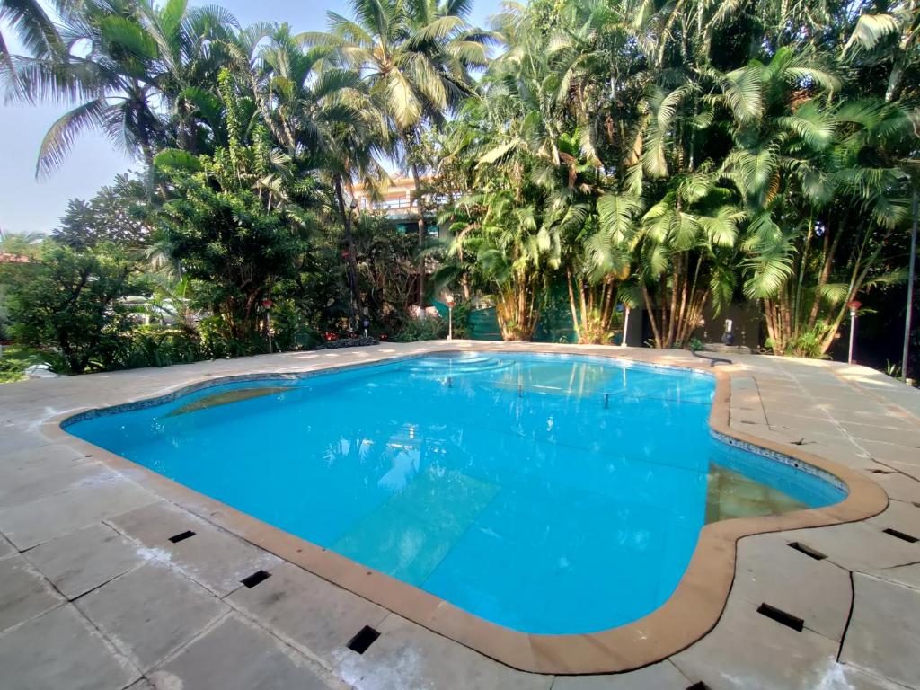 Opulence Boutique Resort, Alibaug photo 3