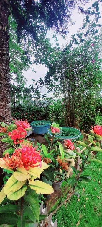 Mountain Paradise Homestay photo 3