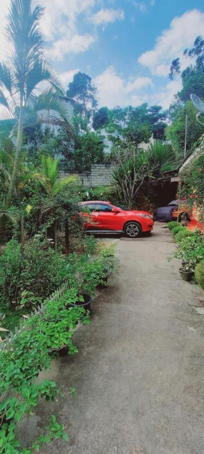 Mountain Paradise Homestay photo 4